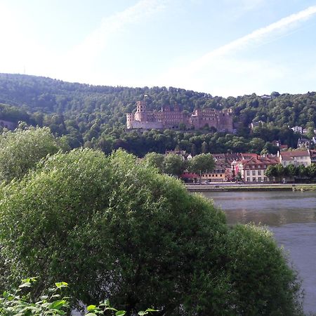 Ferienwohnung Neckarblick 하이델베르크 외부 사진