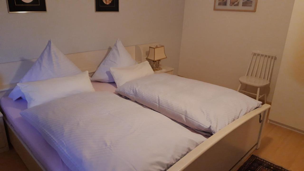 Ferienwohnung Neckarblick 하이델베르크 외부 사진
