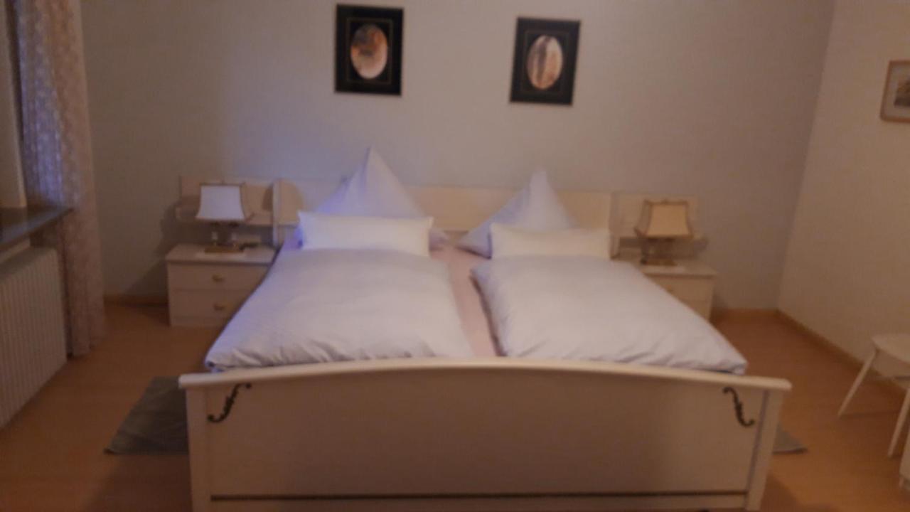 Ferienwohnung Neckarblick 하이델베르크 외부 사진