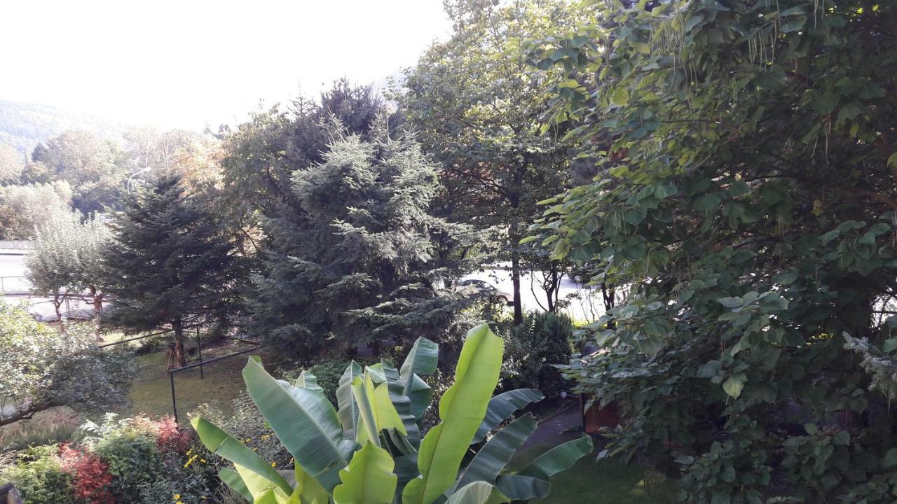 Ferienwohnung Neckarblick 하이델베르크 외부 사진