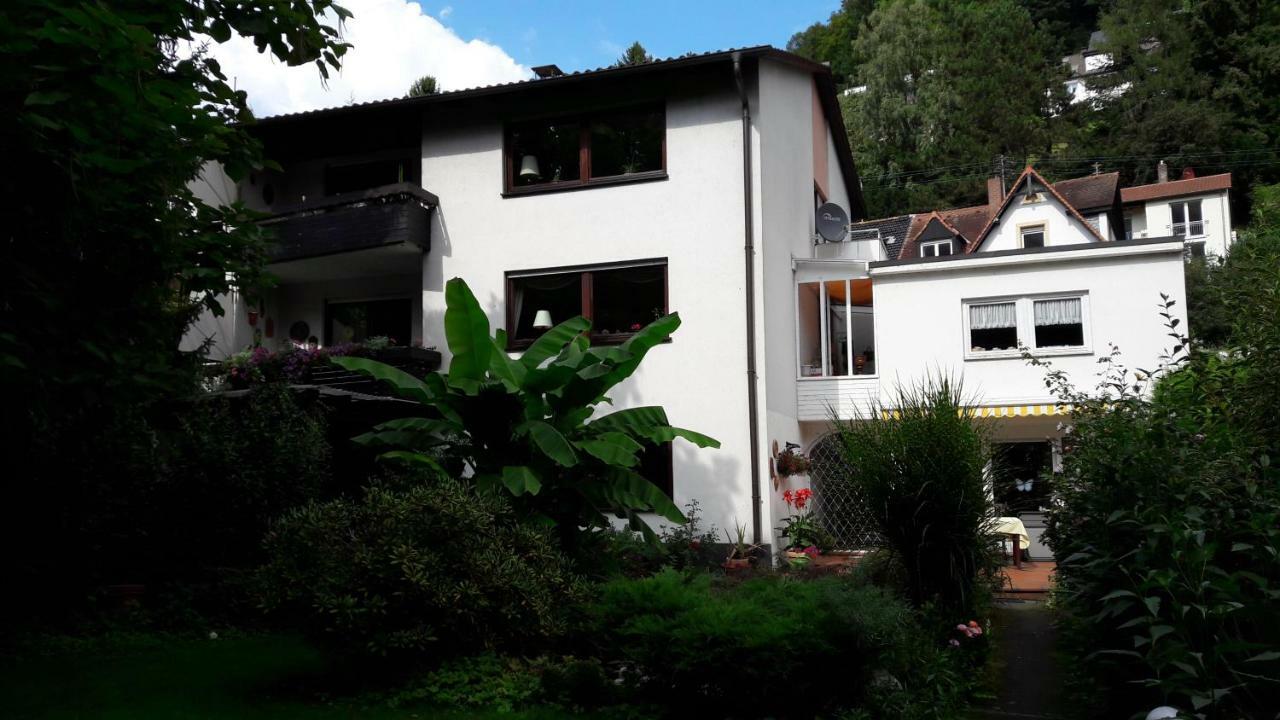 Ferienwohnung Neckarblick 하이델베르크 외부 사진